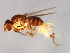  ( - 09BBDIP-0770)  @13 [ ] CreativeCommons - Attribution (2009) Unspecified Centre for Biodiversity Genomics