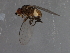  ( - 09BBDIP-0807)  @12 [ ] CreativeCommons - Attribution (2009) Unspecified Centre for Biodiversity Genomics