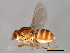  ( - 09BBDIP-0835)  @13 [ ] CreativeCommons - Attribution (2009) Unspecified Centre for Biodiversity Genomics