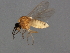  ( - 09BBDIP-0844)  @13 [ ] CreativeCommons - Attribution (2009) Unspecified Centre for Biodiversity Genomics
