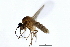  ( - 09BBDIP-1637)  @13 [ ] CreativeCommons - Attribution (2010) Unspecified Centre for Biodiversity Genomics