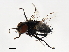  ( - 09BBDIP-1256)  @12 [ ] CreativeCommons - Attribution (2009) Unspecified Centre for Biodiversity Genomics