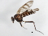  ( - 09BBDIP-1427)  @13 [ ] CreativeCommons - Attribution (2009) Unspecified Centre for Biodiversity Genomics