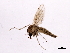  ( - 09BBDIP-1847)  @14 [ ] CreativeCommons - Attribution (2010) Unspecified Centre for Biodiversity Genomics
