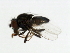  ( - 09BBDIP-1486)  @12 [ ] CreativeCommons - Attribution (2009) Unspecified Centre for Biodiversity Genomics