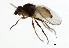  ( - 09BBDIP-1507)  @12 [ ] CreativeCommons - Attribution (2009) Unspecified Centre for Biodiversity Genomics