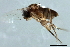  ( - 09BBDIP-1741)  @12 [ ] CreativeCommons - Attribution (2010) CBG Photography Group Centre for Biodiversity Genomics