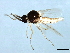  ( - 09BBDIP-1789)  @13 [ ] CreativeCommons - Attribution (2010) CBG Photography Group Centre for Biodiversity Genomics