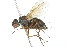  ( - 09BBDIP-2198)  @12 [ ] CreativeCommons - Attribution (2010) CBG Photography Group Centre for Biodiversity Genomics