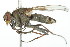  ( - 09BBDIP-2201)  @13 [ ] CreativeCommons - Attribution (2010) CBG Photography Group Centre for Biodiversity Genomics