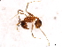  ( - 09BBUSA-F0010)  @12 [ ] CreativeCommons - Attribution (2010) CBG Photography Group Centre for Biodiversity Genomics