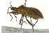  ( - 10BBHEM-0110)  @13 [ ] CreativeCommons - Attribution (2010) CBG Photography Group Centre for Biodiversity Genomics