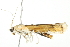  ( - 10BBLEP-00150)  @13 [ ] CreativeCommons - Attribution (2010) CBG Photography Group Centre for Biodiversity Genomics