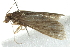  ( - 10BBLEP-00258)  @12 [ ] CreativeCommons - Attribution (2010) CBG Photography Group Centre for Biodiversity Genomics