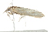  ( - 10BBLEP-00340)  @12 [ ] CreativeCommons - Attribution (2010) CBG Photography Group Centre for Biodiversity Genomics