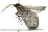  ( - 10BBLEP-00693)  @13 [ ] CreativeCommons - Attribution (2010) CBG Photography Group Centre for Biodiversity Genomics