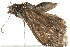  ( - 10BBLEP-01353)  @12 [ ] CreativeCommons - Attribution (2010) CBG Photography Group Centre for Biodiversity Genomics