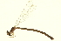  ( - 10BBODA-0190)  @12 [ ] CreativeCommons - Attribution (2010) CBG Photography Group Centre for Biodiversity Genomics