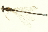  ( - 10BBODA-0191)  @12 [ ] CreativeCommons - Attribution (2010) CBG Photography Group Centre for Biodiversity Genomics