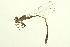  ( - 10BBODA-0234)  @12 [ ] CreativeCommons - Attribution (2010) CBG Photography Group Centre for Biodiversity Genomics