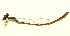  ( - 10BBODA-0165)  @13 [ ] CreativeCommons - Attribution (2010) CBG Photography Group Centre for Biodiversity Genomics