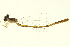  ( - 10BBODA-0166)  @13 [ ] CreativeCommons - Attribution (2010) CBG Photography Group Centre for Biodiversity Genomics
