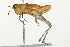  ( - 09BBORTH-0091)  @14 [ ] CreativeCommons - Attribution (2009) Unspecified Centre for Biodiversity Genomics