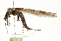  ( - 09USSTO-009.fail1)  @11 [ ] CreativeCommons - Attribution (2009) Unspecified Centre for Biodiversity Genomics