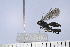  ( - UUPomp_062)  @11 [ ] Copyright (2024) Jeremy Blaschke Union University