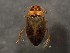  ( - WYNDD-0371)  @11 [ ] No Rights Reserved (nrr) (2022) Unspecified Wyoming Natural Diversity Database