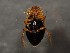  ( - WYNDD-0371)  @11 [ ] No Rights Reserved (nrr) (2022) Unspecified Wyoming Natural Diversity Database