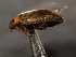  ( - WYNDD-0371)  @11 [ ] No Rights Reserved (nrr) (2022) Unspecified Wyoming Natural Diversity Database