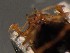  ( - WYNDD-0371)  @11 [ ] No Rights Reserved (nrr) (2022) Unspecified Wyoming Natural Diversity Database