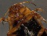  ( - WYNDD-0371)  @11 [ ] No Rights Reserved (nrr) (2022) Unspecified Wyoming Natural Diversity Database