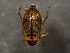  ( - WYNDD-0371)  @11 [ ] No Rights Reserved (nrr) (2022) Unspecified Wyoming Natural Diversity Database