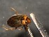  ( - WYNDD-0371)  @11 [ ] No Rights Reserved (nrr) (2022) Unspecified Wyoming Natural Diversity Database