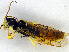  ( - UZSAV150)  @11 [ ] CreativeCommons  Attribution Non-Commercial Share-Alike (2022) Martin Secansky Slovak National Museum-Natural History Museum