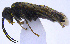  ( - UZSAV164)  @11 [ ] CreativeCommons  Attribution Non-Commercial Share-Alike (2022) Martin Secansky Slovak National Museum-Natural History Museum