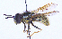  ( - UZSAV244)  @11 [ ] CreativeCommons  Attribution Non-Commercial Share-Alike (2023) Martin Secansky Slovak National Museum-Natural History Museum