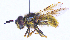  ( - UZSAV252)  @11 [ ] CreativeCommons  Attribution Non-Commercial Share-Alike (2023) Martin Secansky Slovak National Museum-Natural History Museum