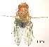  ( - 2023.06.28 Drosophila melanogaster)  @11 [ ] CreativeCommons - Attribution Share-Alike (2023) Unspecified University of Lausanne