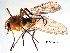  ( - 2023.08.22 Parametriocnemus (specimen 3))  @11 [ ] CreativeCommons - Attribution Share-Alike (2024) Unspecified University of Lausanne