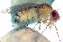  ( - 2023.06.28 Drosophila melanogaster)  @11 [ ] CreativeCommons - Attribution Share-Alike (2023) Unspecified University of Lausanne
