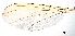  ( - 2021.06.28 Sciapus platypterus (specimen D2))  @11 [ ] CreativeCommons - Attribution Share-Alike (2024) Unspecified University of Lausanne