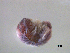  ( - VAPT070_UM)  @11 [ ] CreativeCommons - Attribution Share-Alike (2025) Unspecified Universidade do Minho