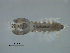  ( - VAPT077_UM)  @11 [ ] CreativeCommons - Attribution Share-Alike (2025) Unspecified Universidade do Minho