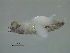  ( - VAPT078_UM)  @11 [ ] CreativeCommons - Attribution Share-Alike (2025) Unspecified Universidade do Minho