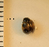 ( - ARVAQ-169-CA)  @11 [ ] CC BY-NC 4.0 (2025) Unspecified INIBIOMA