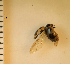  ( - ARVAQ-228-CA)  @11 [ ] CC BY-NC 4.0 (2025) Unspecified INIBIOMA