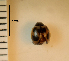  ( - ARVAQ-23-CA)  @11 [ ] CC BY-NC 4.0 (2025) Unspecified INIBIOMA
